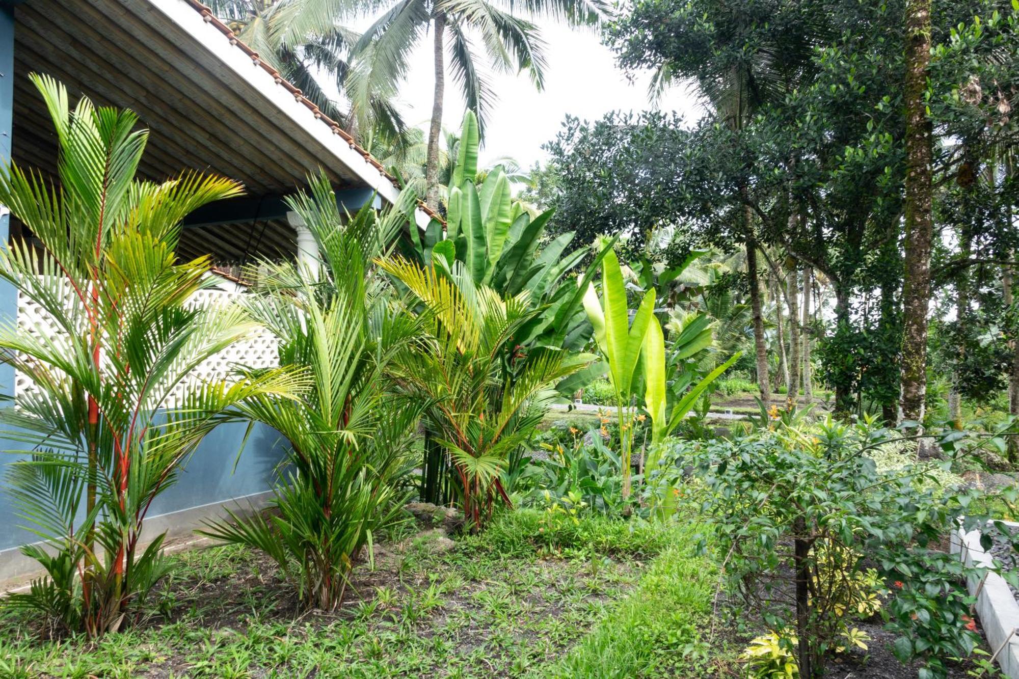Darmada Eco Resort Sidemen  Kültér fotó