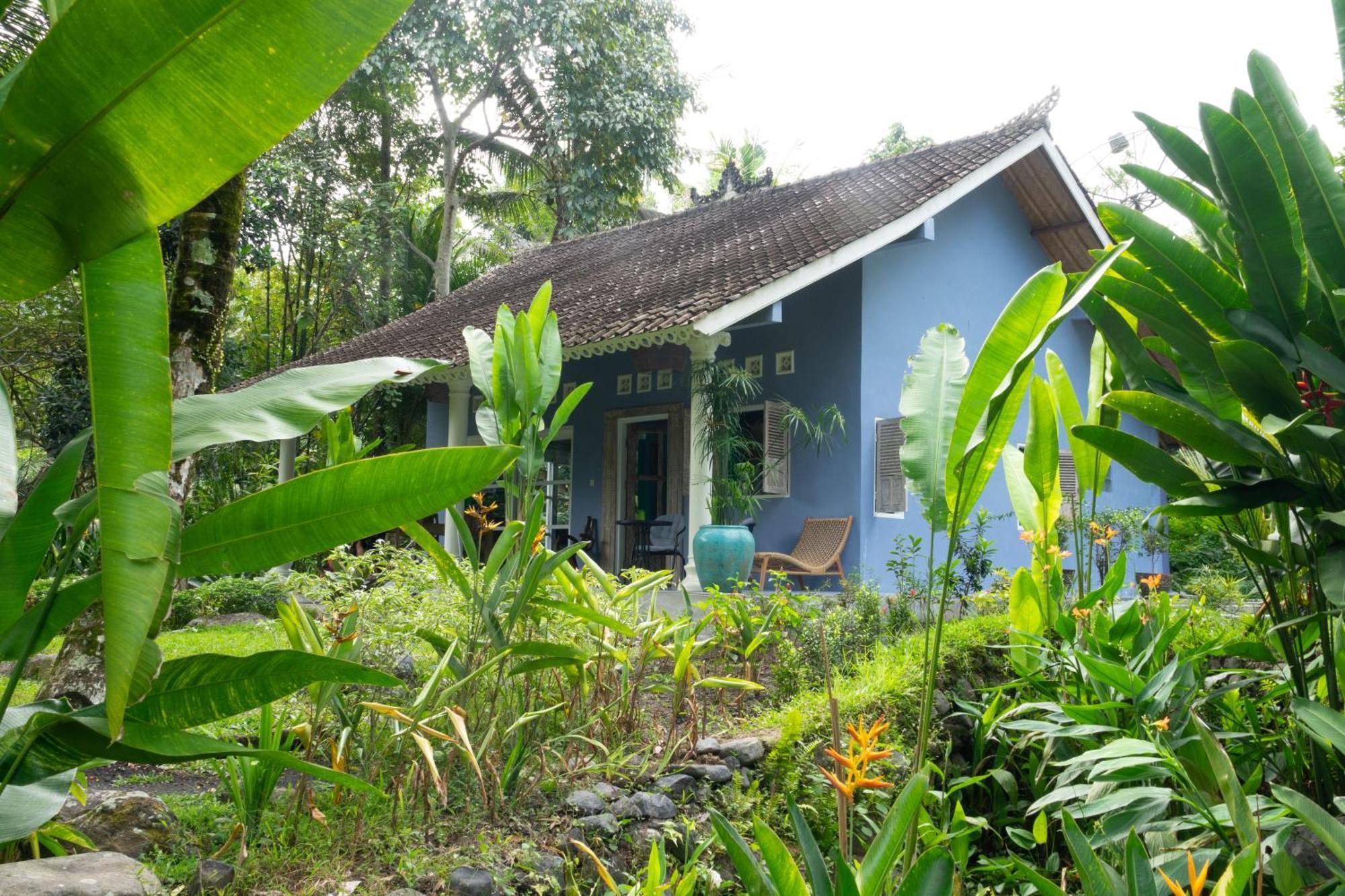 Darmada Eco Resort Sidemen  Kültér fotó